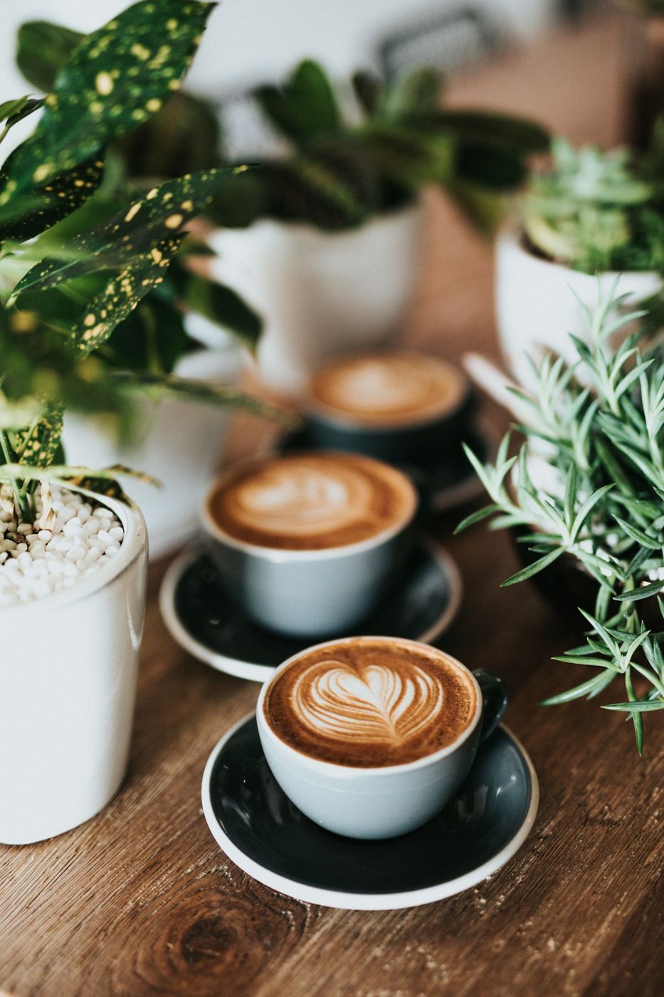 Two lattes with leaf latte art on a wooden table